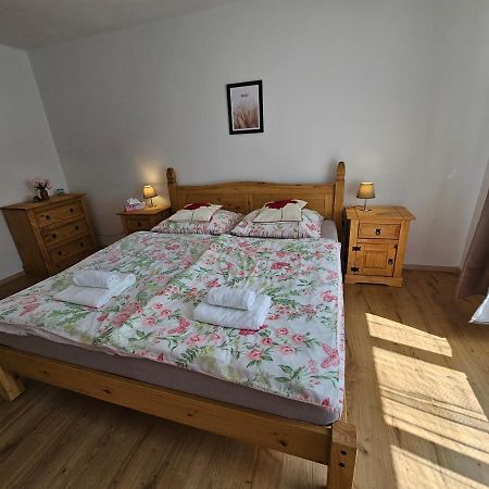 Apartman U Labe 德辛 外观 照片