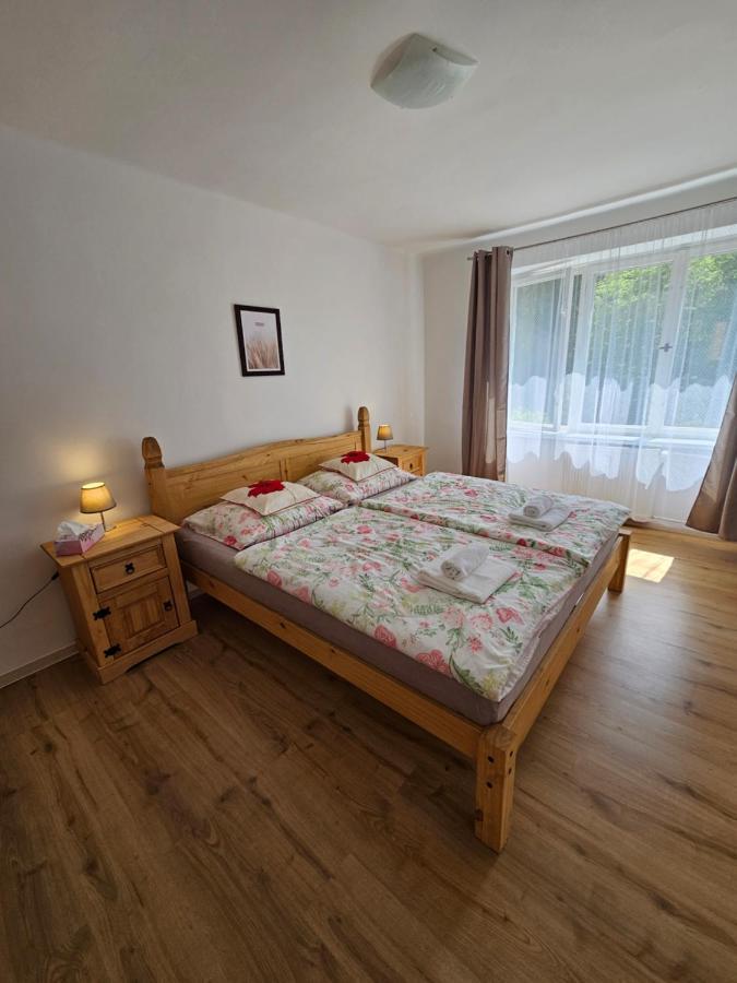 Apartman U Labe 德辛 外观 照片